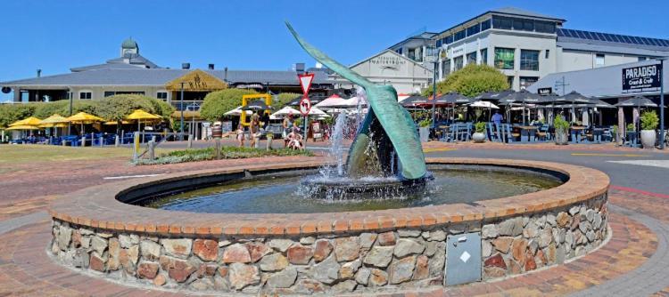 Central Mountain View Apartment, Hermanus Waterfront المظهر الخارجي الصورة